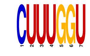 logo of CUUUGGU