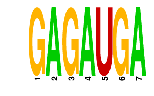 logo of GAGAUGA
