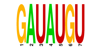 logo of GAUAUGU