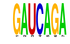 logo of GAUCAGA