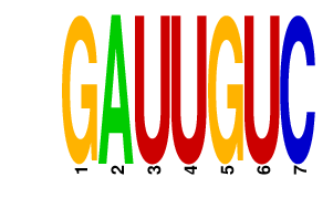 logo of GAUUGUC