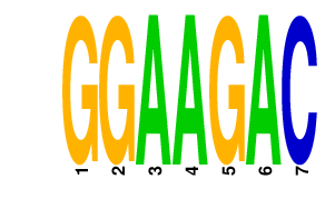 logo of GGAAGAC