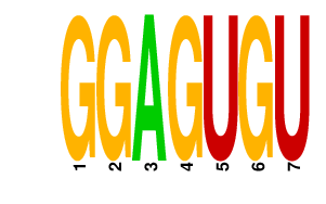 logo of GGAGUGU
