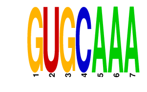 logo of GUGCAAA