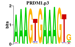 logo of PRDM1.p3