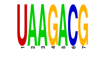 logo of UAAGACG