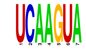 logo of UCAAGUA