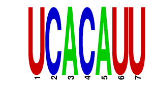 logo of UCACAUU