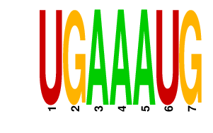 logo of UGAAAUG