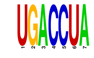 logo of UGACCUA