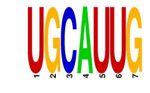 logo of UGCAUUG