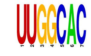 logo of UUGGCAC
