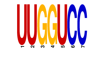logo of UUGGUCC