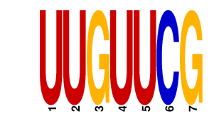 logo of UUGUUCG