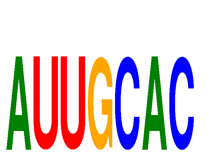 SeqLogo of AUUGCAC