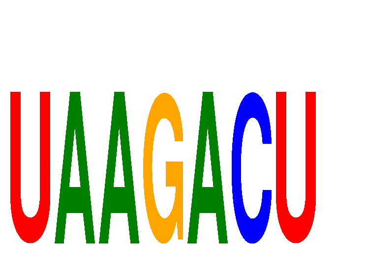 SeqLogo of UAAGACU