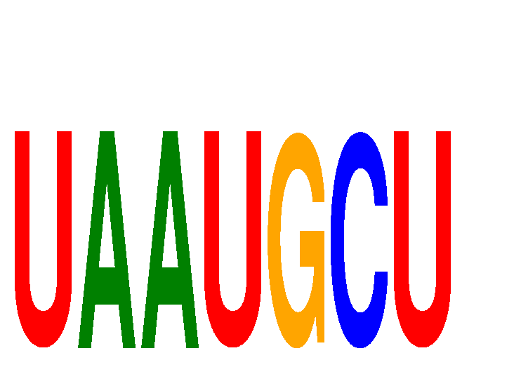 SeqLogo of UAAUGCU