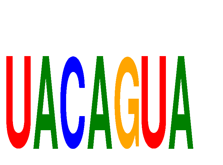 SeqLogo of UACAGUA