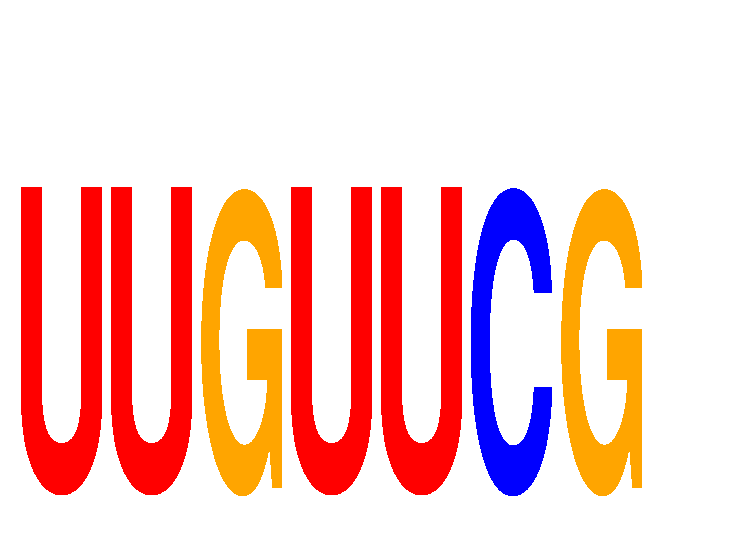 SeqLogo of UUGUUCG