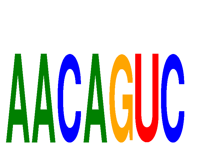 SeqLogo of AACAGUC