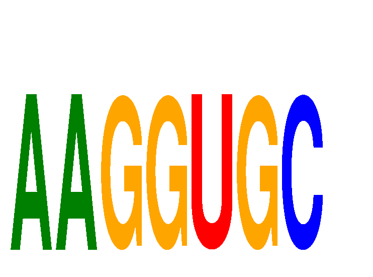 SeqLogo of AAGGUGC