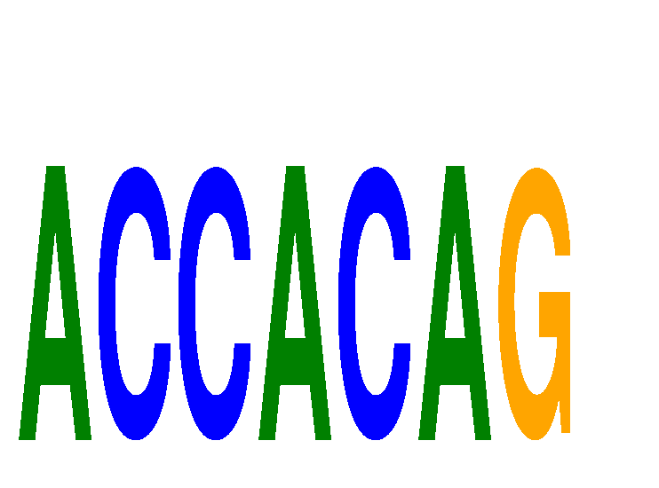 SeqLogo of ACCACAG
