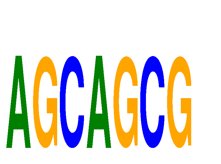 SeqLogo of AGCAGCG