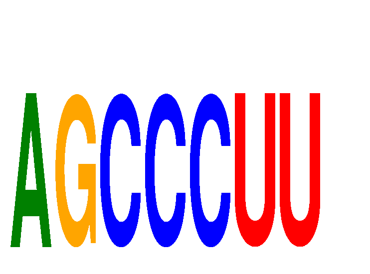 SeqLogo of AGCCCUU