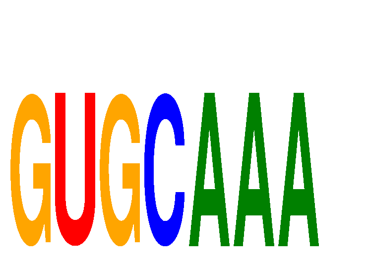 SeqLogo of GUGCAAA