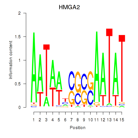 SeqLogo of HMGA2