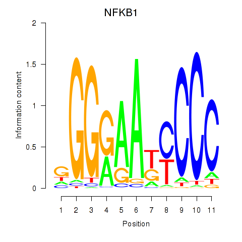 SeqLogo of NFKB1