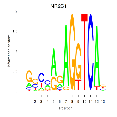 SeqLogo of NR2C1