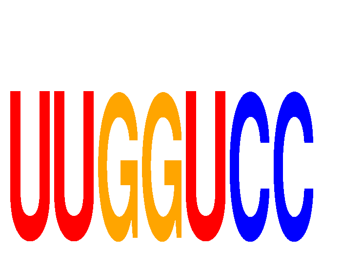 SeqLogo of UUGGUCC