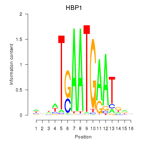 SeqLogo of HBP1