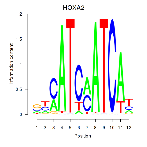 SeqLogo of HOXA2_HOXB1