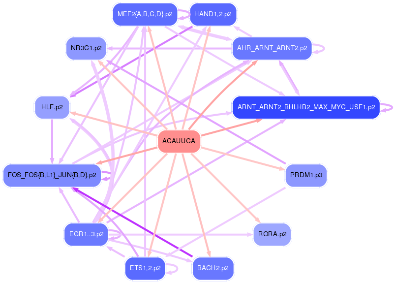 PNG image of the network
