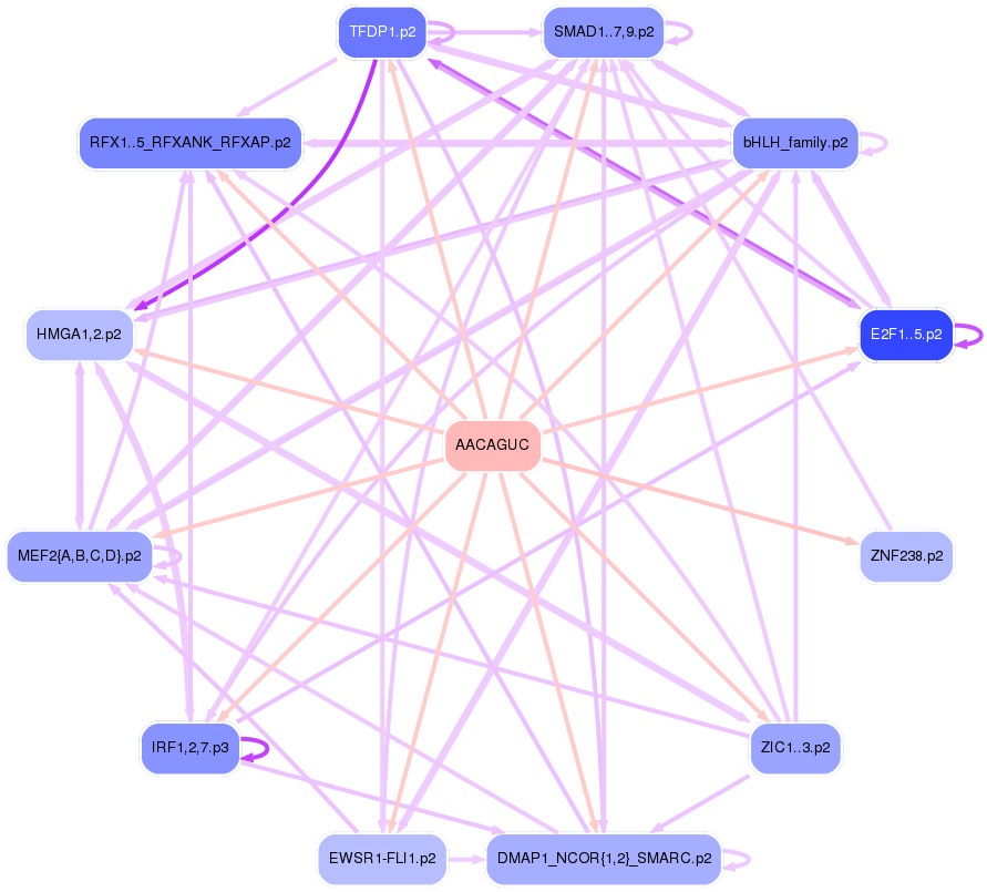 PNG image of the network