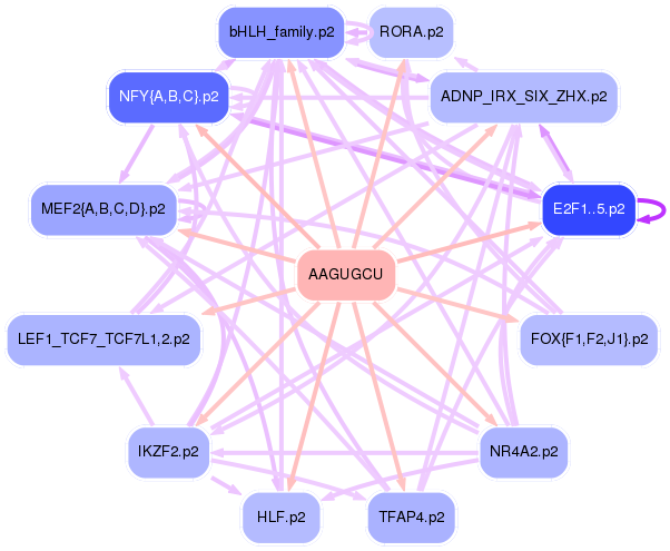 PNG image of the network