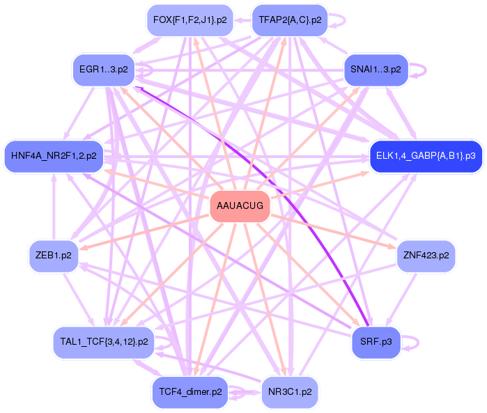 PNG image of the network