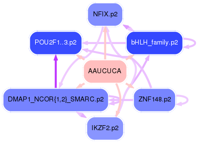 PNG image of the network