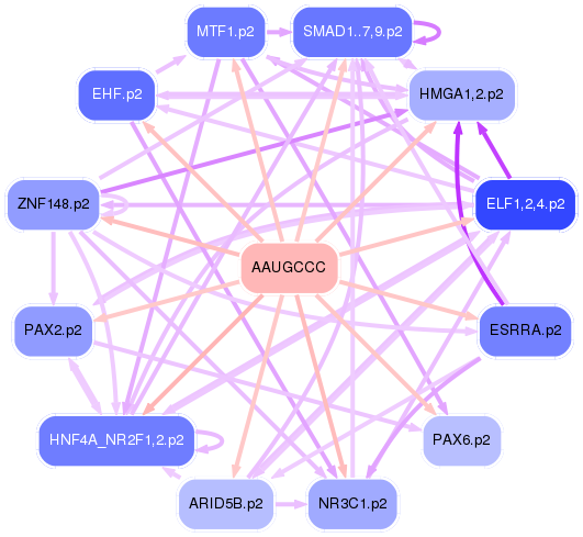 PNG image of the network