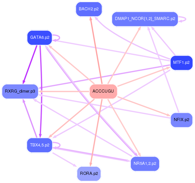 PNG image of the network
