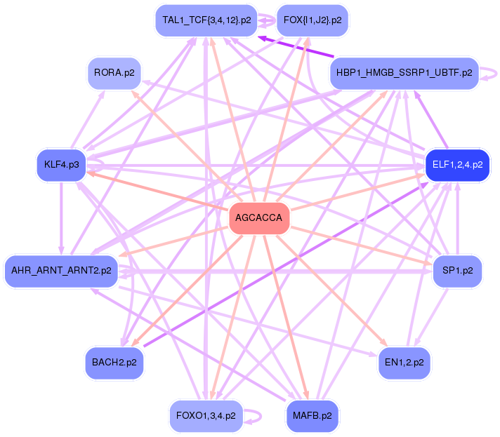 PNG image of the network