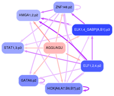 PNG image of the network