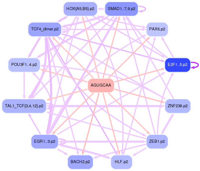 PNG image of the network