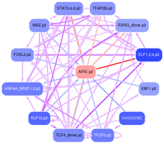 PNG image of the network