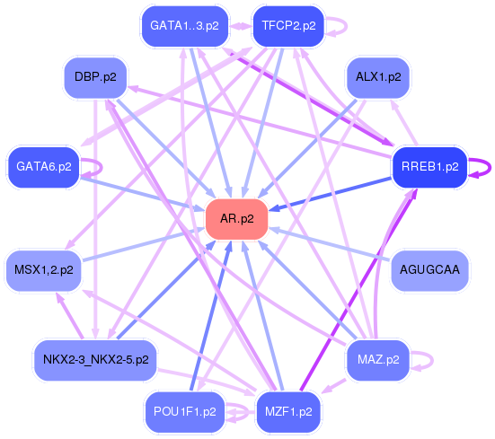 PNG image of the network