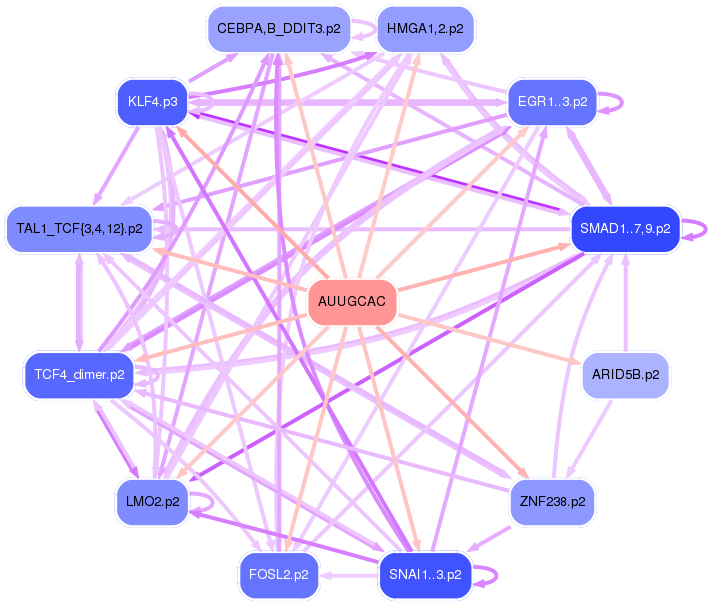 PNG image of the network