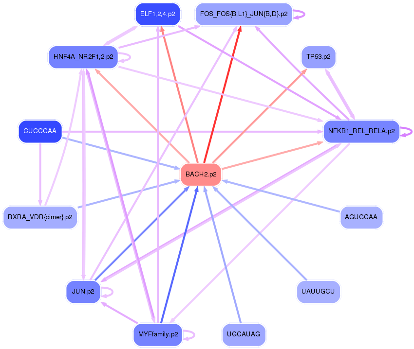 PNG image of the network