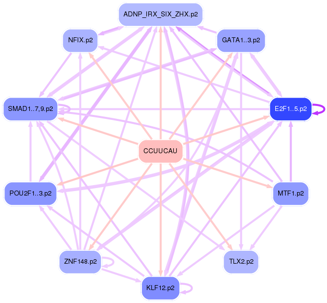 PNG image of the network
